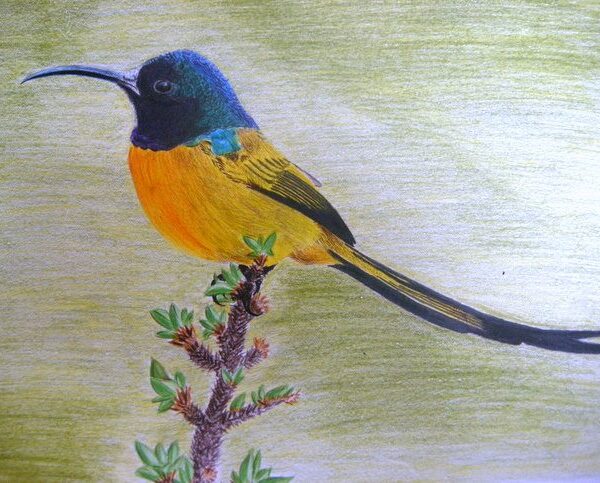 Best Drawing Painting Institute in Chennai